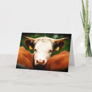 Cows Head Karte