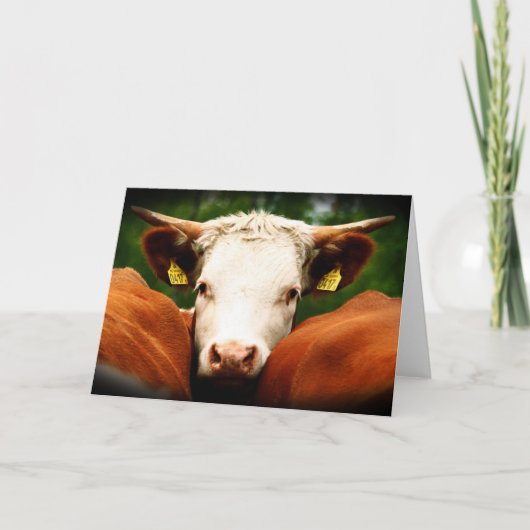 Cows Head Karte (Vorderseite)