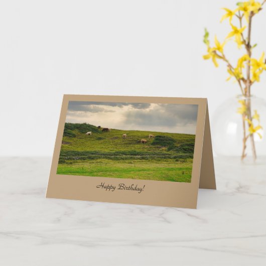 Cows in Pasture Birthday Greeting Card Karte (Gelbe Blume)