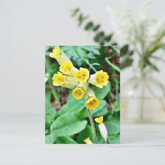 Cowslip Blume Postkarte (Stehend Vorderseite)