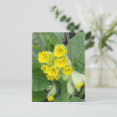 Cowslip Blume Postkarte (Stehend Vorderseite)