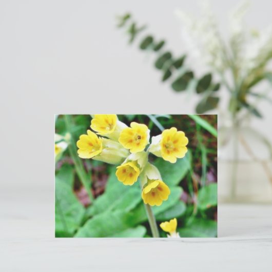 Cowslip-Blume Postkarte (Stehend Vorderseite)