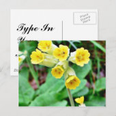 Cowslip-Blume Postkarte (Vorne/Hinten)