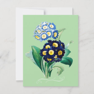 Cowslip Primrose Botanical Feiertagskarte
