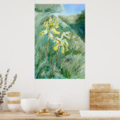 Cowslips Primula veris auf einer Grasbank Poster (Küche)