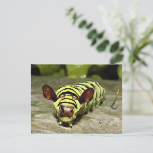 Cowtersäule Postkarte (Stehend Vorderseite)