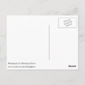 Cox Arboretum, Dayton, OH Postkarte (Rückseite)