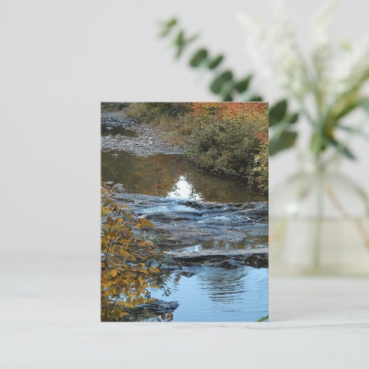 Cox Brook Postkarte (Stehend Vorderseite)