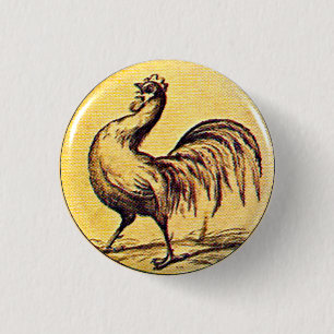 Cox für Präsidenten - Knopf Button