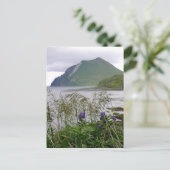 Coxcomb, Insel Unalaska Postkarte (Stehend Vorderseite)