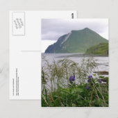 Coxcomb, Insel Unalaska Postkarte (Vorne/Hinten)