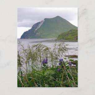 Coxcomb, Insel Unalaska Postkarte