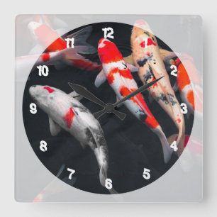 Coy Fish Quadratische Wanduhr