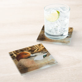 Coy lächelnd Eurasian Wigeon Duck am Teich Glasuntersetzer