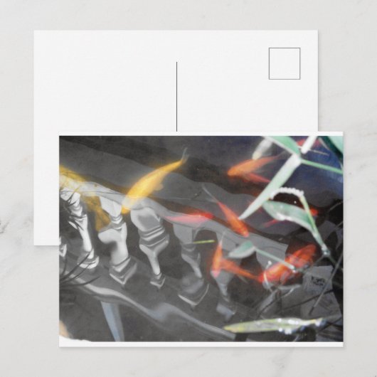 Coy Reflection Postkarte (Vorne/Hinten)