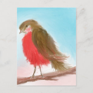 Coy Robin Postcard Postkarte