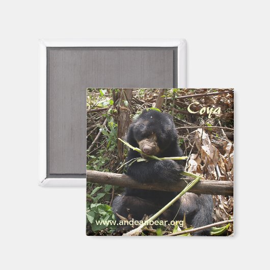 Coya Magnet (Vorderseite/Rückseite)