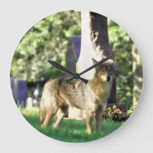 Coyote am Friedhof Große Wanduhr
