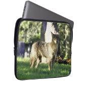 Coyote am Friedhof Laptopschutzhülle (Vorne Rechts)