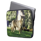 Coyote am Friedhof Laptopschutzhülle (Vorderseite Links)