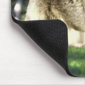 Coyote am Friedhof Mousepad (Ecke)