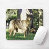 Coyote am Friedhof Mousepad (Mit Mouse)