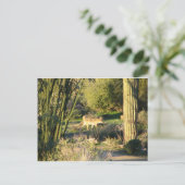 Coyote_at_dawn Postkarte (Stehend Vorderseite)