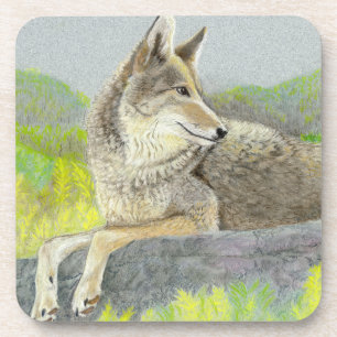 Coyote Beverage Coaster Getränkeuntersetzer