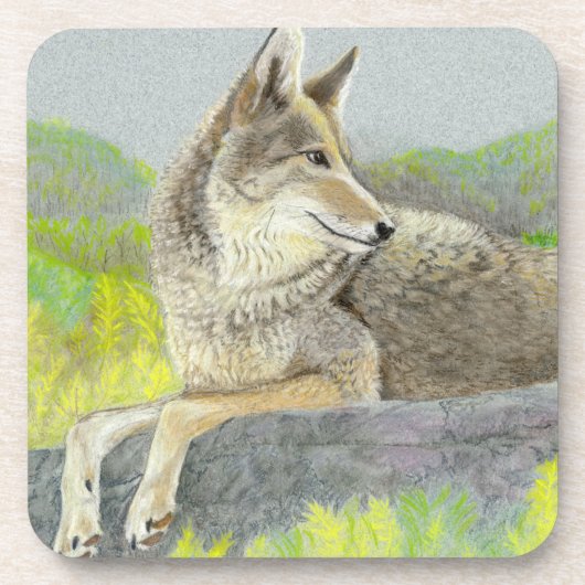 Coyote Beverage Coaster Getränkeuntersetzer (Vorderseite)