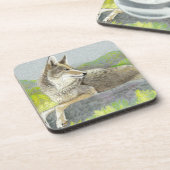 Coyote Beverage Coaster Getränkeuntersetzer (Linke Seite)