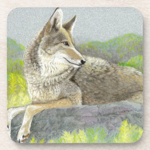 Coyote Beverage Coaster Getränkeuntersetzer