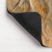 Coyote (Canis Latrans) Jagen Mousepad (Ecke)
