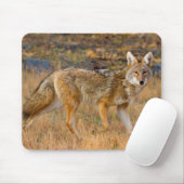 Coyote (Canis Latrans) Jagen Mousepad (Mit Mouse)