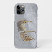 Coyote Case-Mate iPhone Hülle (Rückseite)
