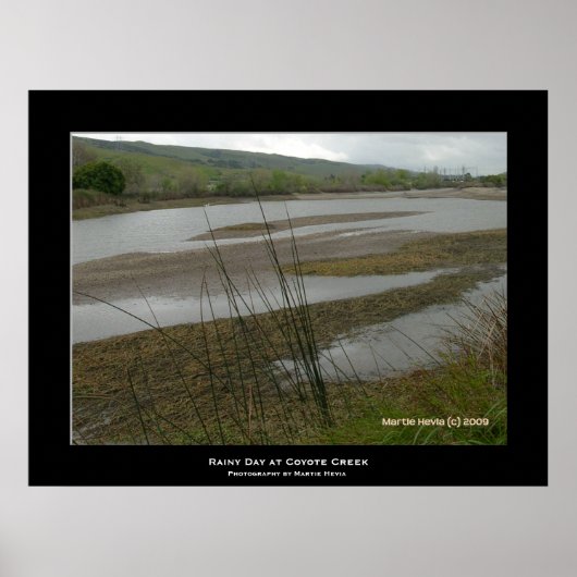 "Coyote Creek Rainy Day" Poster (Vorne)