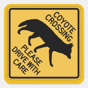 Coyote Crossing, Traffic Warning Sign, USA Quadratischer Aufkleber