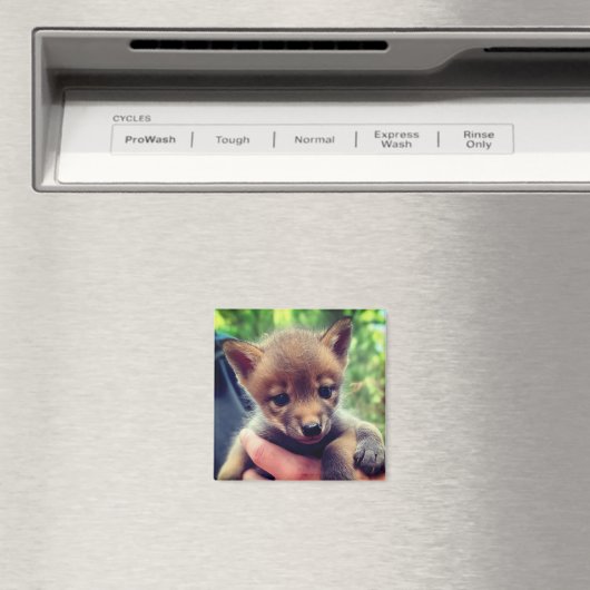 Coyote Cub Magnet (In Situ (Geschirrspüler))