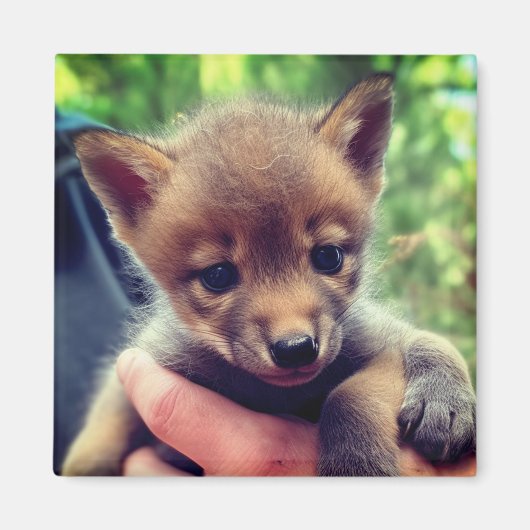 Coyote Cub Magnet (Vorne)