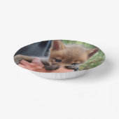 Coyote Cub Pappteller (Gewinkelt)