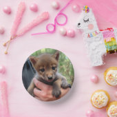 Coyote Cub Pappteller (Party)