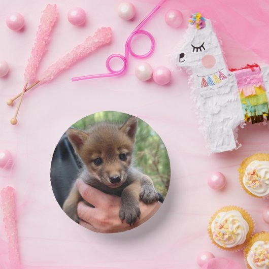 Coyote Cub Pappteller (Party)