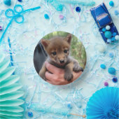 Coyote Cub Pappteller (Party)