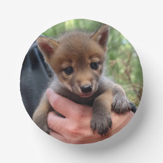 Coyote Cub Pappteller (Vorderseite)