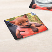 Coyote Cub Rechteckiger Pappuntersetzer (angewinkelt)