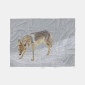 Coyote Fleecedecke (Vorderseite (Horizontal))