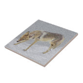 Coyote Fliese (Seite)