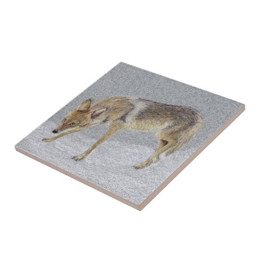 Coyote Fliese (Seite)