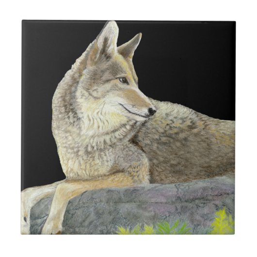 Coyote Fliese (Vorderseite)