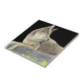 Coyote Fliese (Seite)