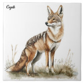 Coyote Fliese (Vorderseite)